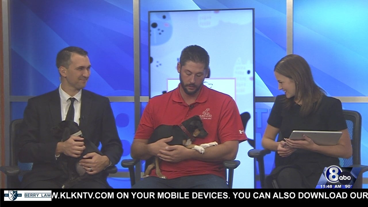Midday Interview: Capital Humane Society (Mirage & Vivienne)