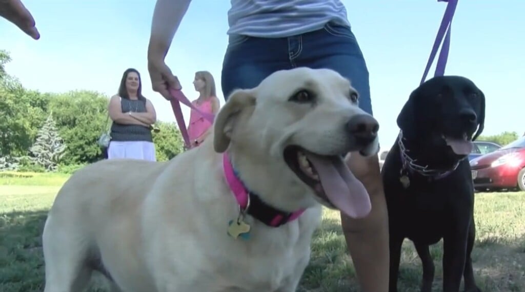 Pets Offer Physical Health Benefits, Says Chi Health