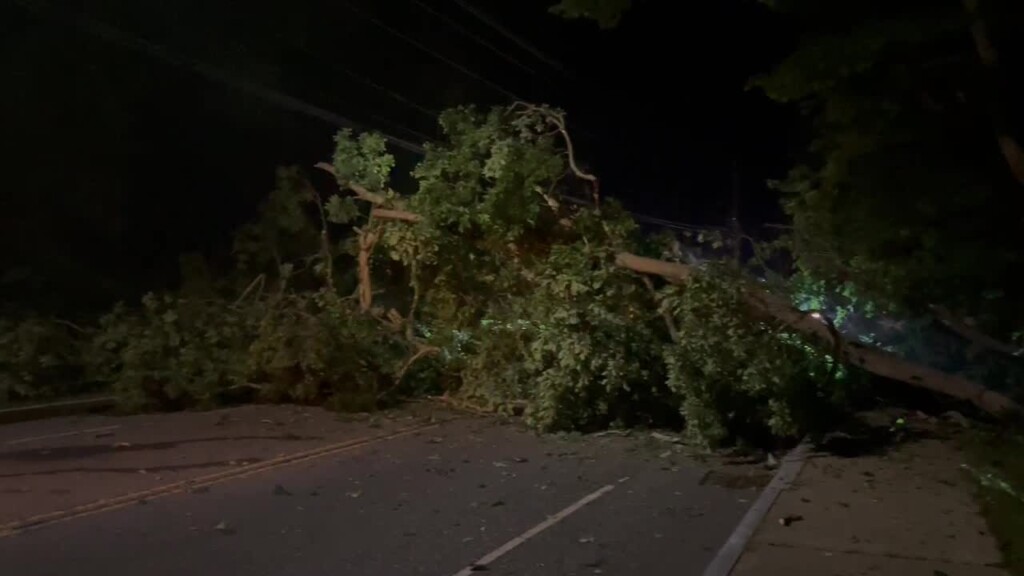 Meridian Street Closed After Tree Topples In Fall River