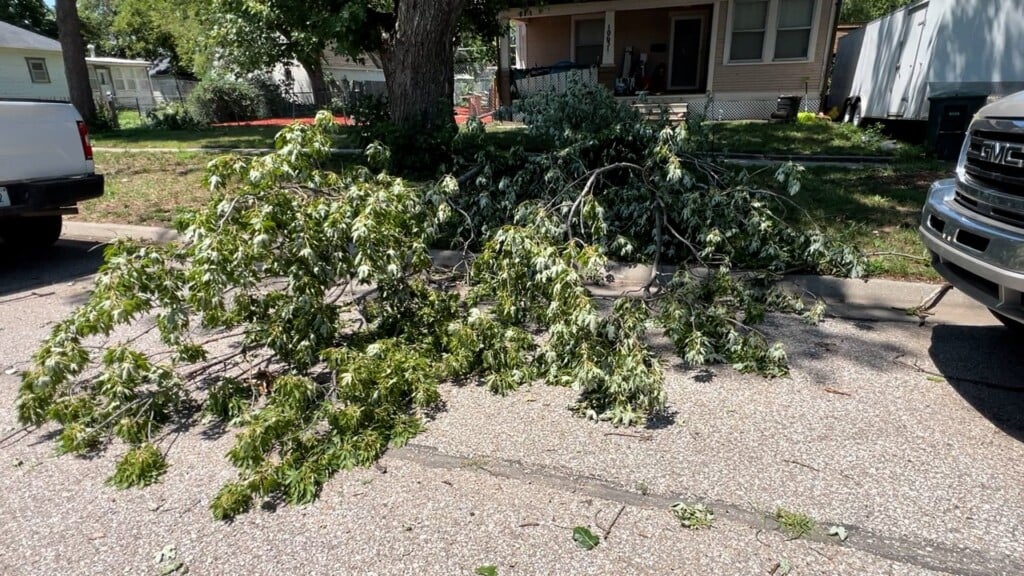 Waverly Cleans Up Branches After July 4th Storm