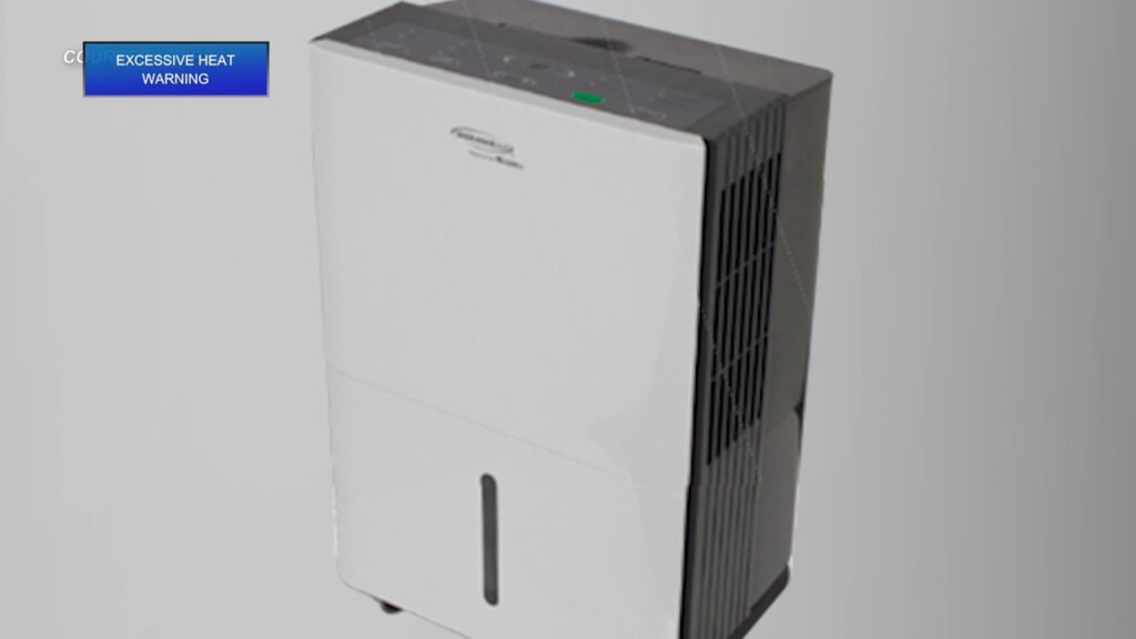 Recall Alert: Dehumidifiers, Toddler Towers And Power Banks
