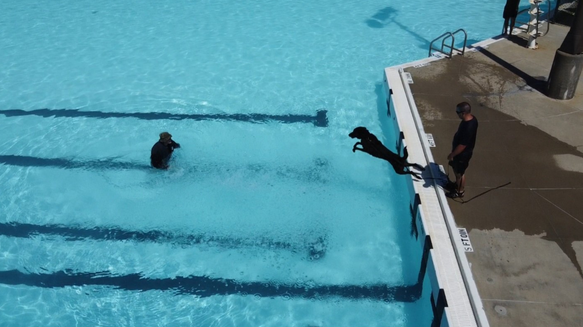 Nebraska State Patrol dogs beat the heat at Seward city pool