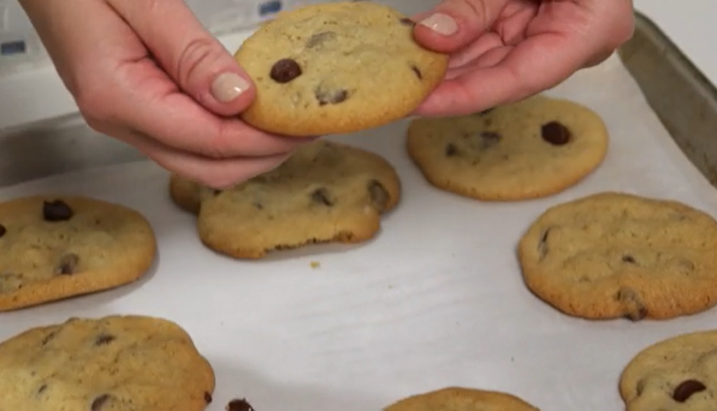 Chocolate Chip Cookie