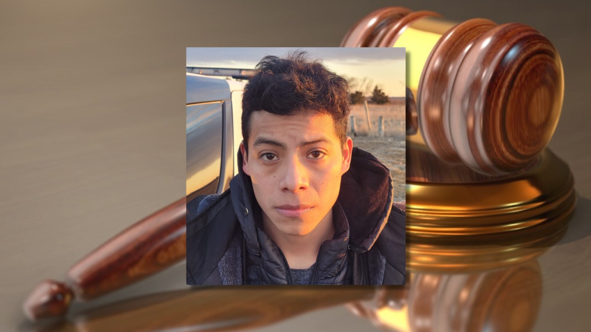 Man pleads guilty to shooting, killing bald eagle in northeast Nebraska