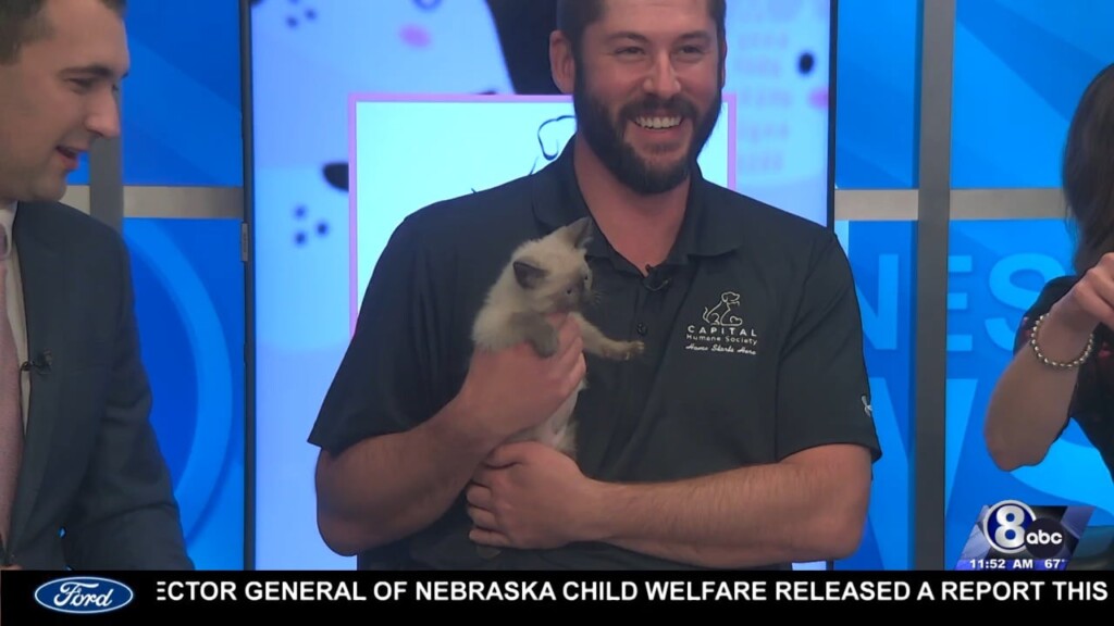 Midday Interview: Capital Humane Society (penelope)