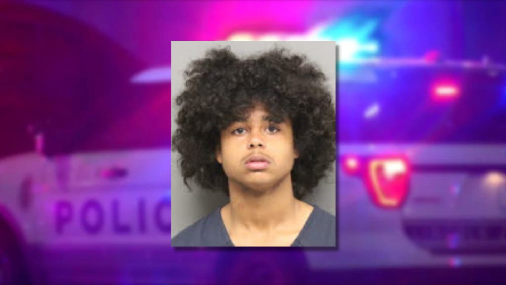 Teen pointed gun at witness after stealing $6 in food from Lincoln ...