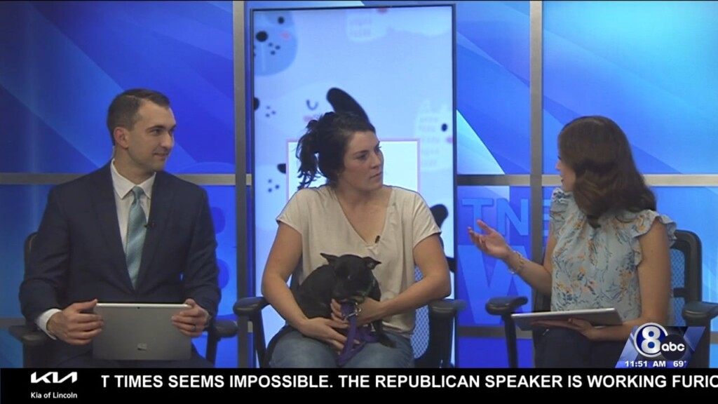 Midday Interview: Capital Humane Society (poe)