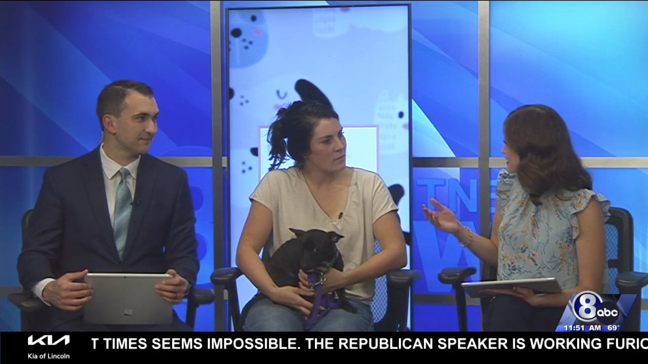 Midday Interview: Capital Humane Society (Poe)