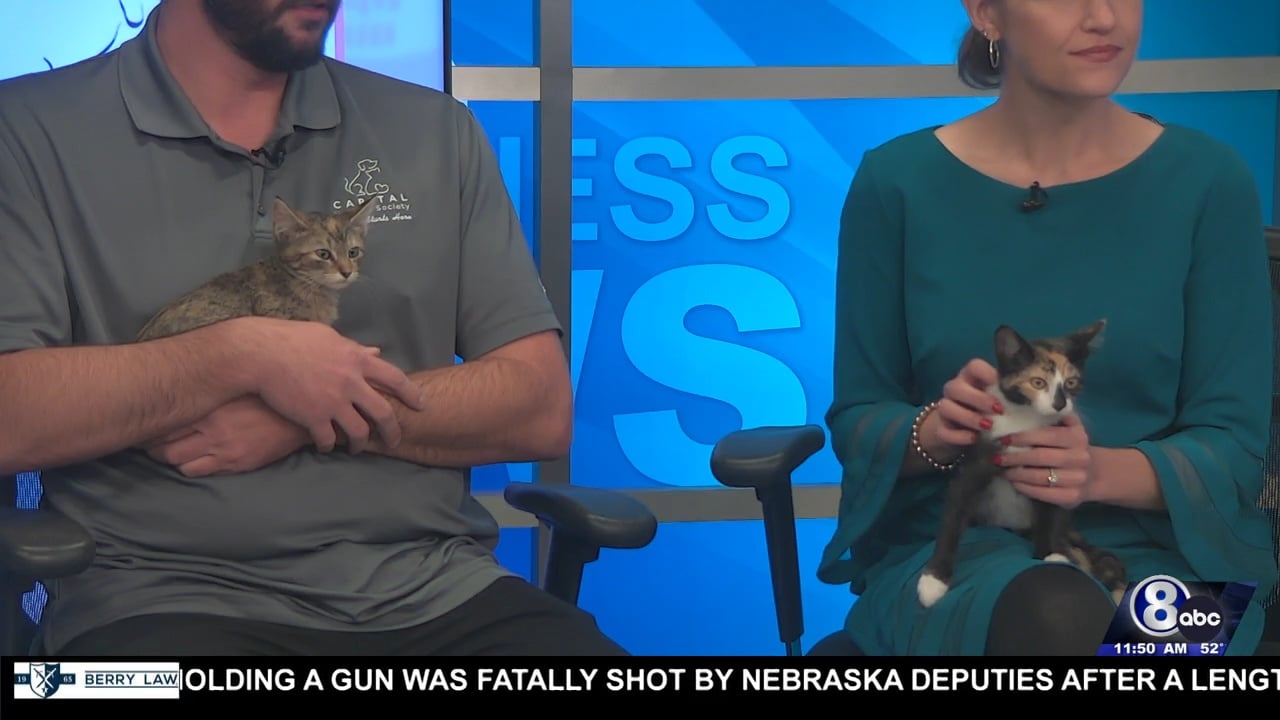 Midday Interview: Capital Humane Society (Paulie & Penny)