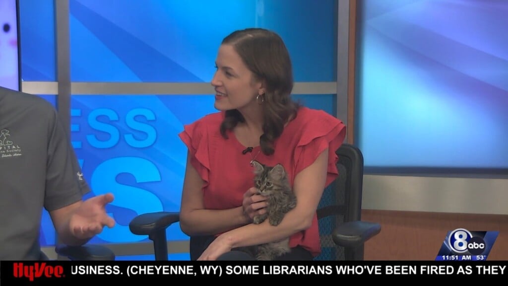 Midday Interview: Capital Humane Society (gemma)
