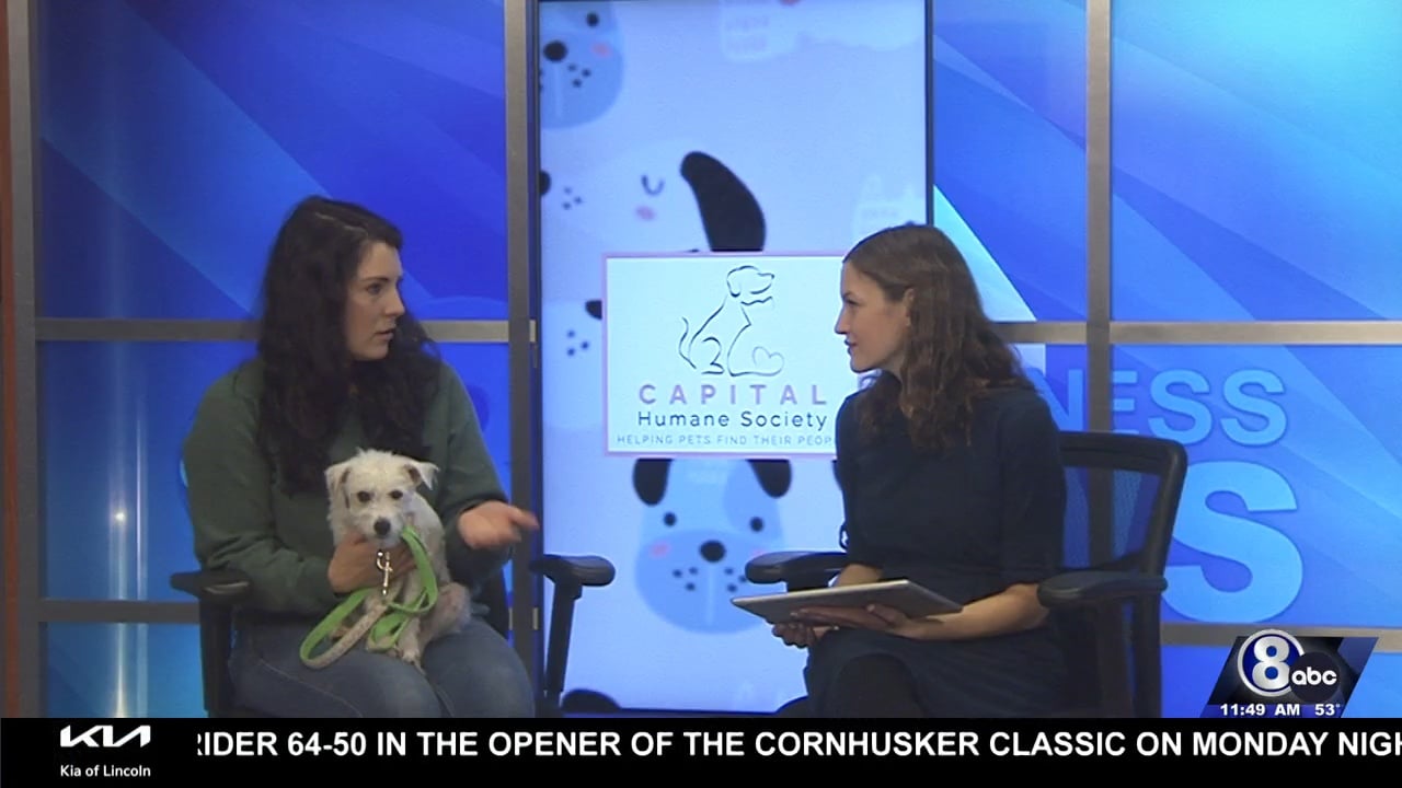 Midday Interview: Capital Humane Society (Lucy)