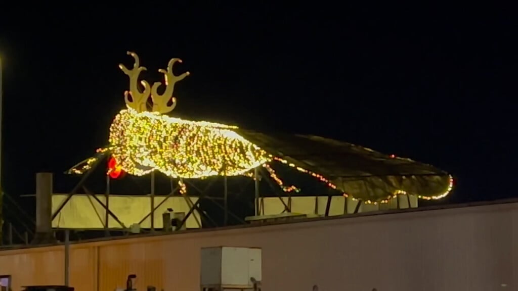 Former Judge Caprio To Light The Big Blue Bug For The Holidays