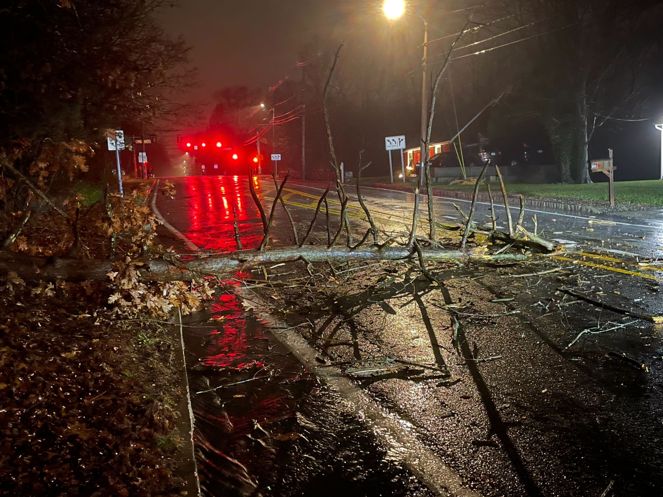 Heavy rain and winds cause downed branches, flooding early Monday