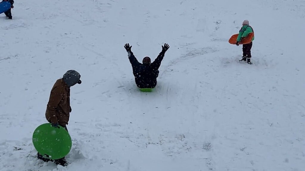 Snow Day Fun