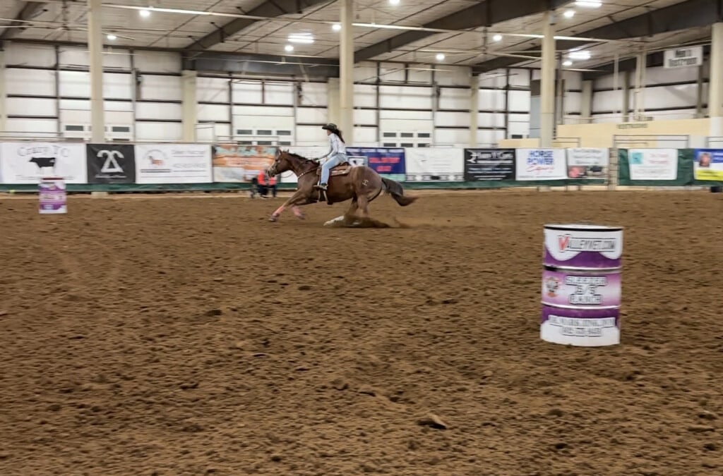horse rodeo