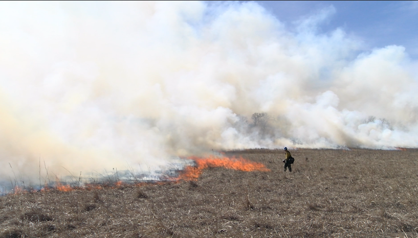 Homestead Fire