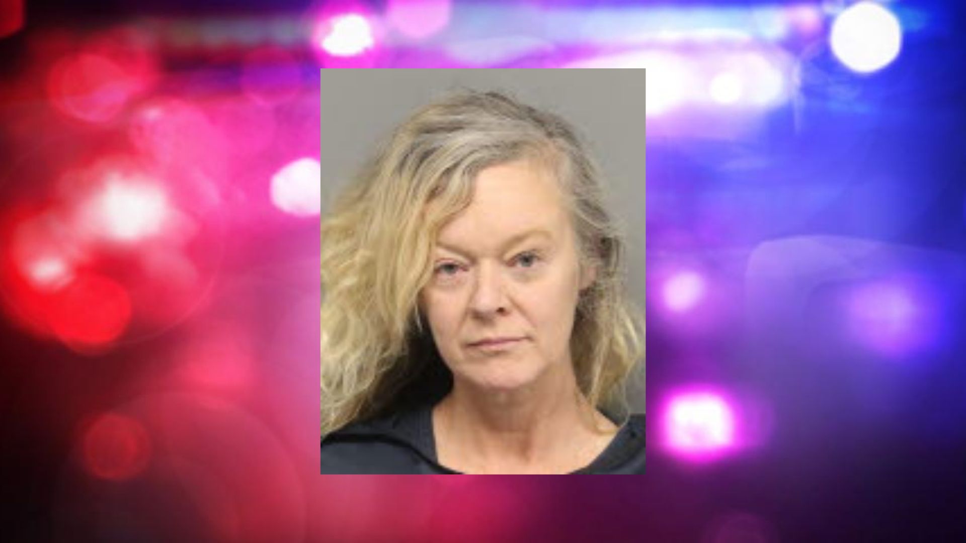 lincoln-woman-charged-in-stabbing-dispute-was-over-who-let-the-dog-out