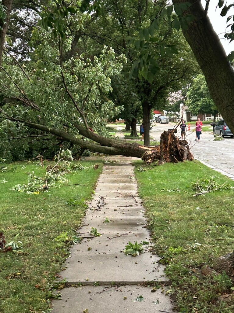 NE Lincoln, near Yosemite Street