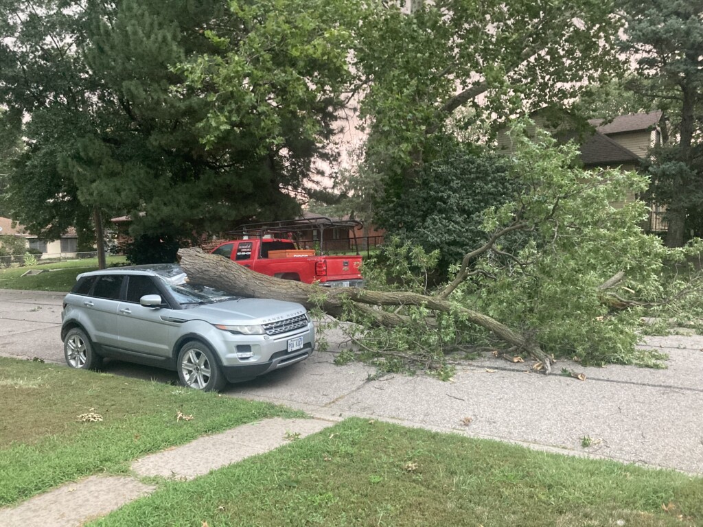 Tree and car damage