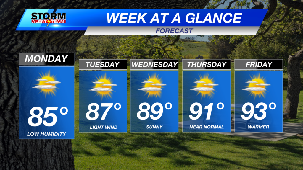 Week Ahead