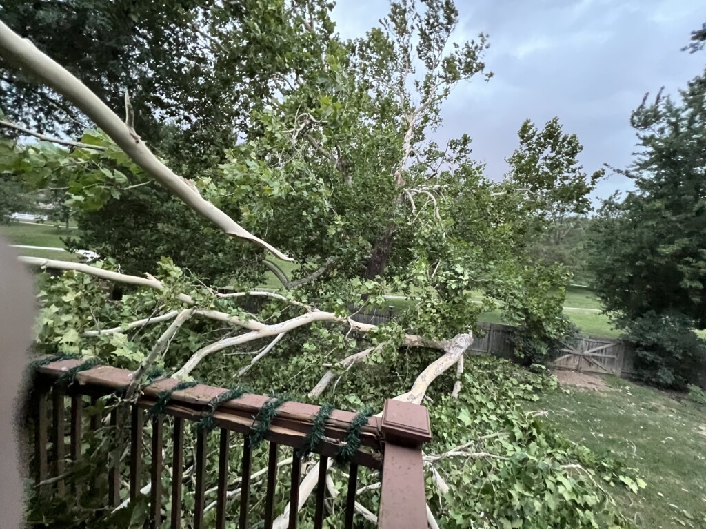 Storm damage