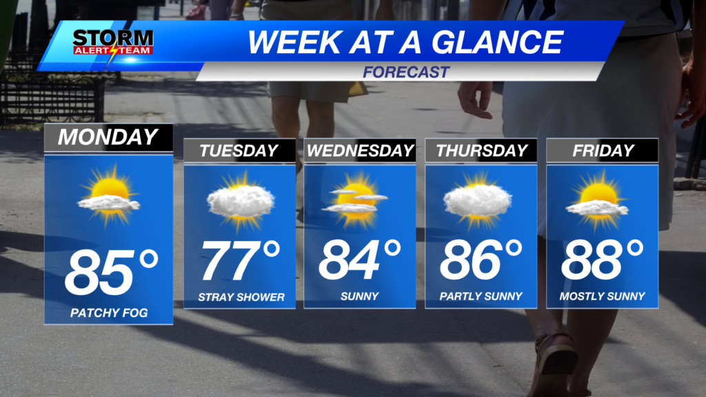 Week Ahead