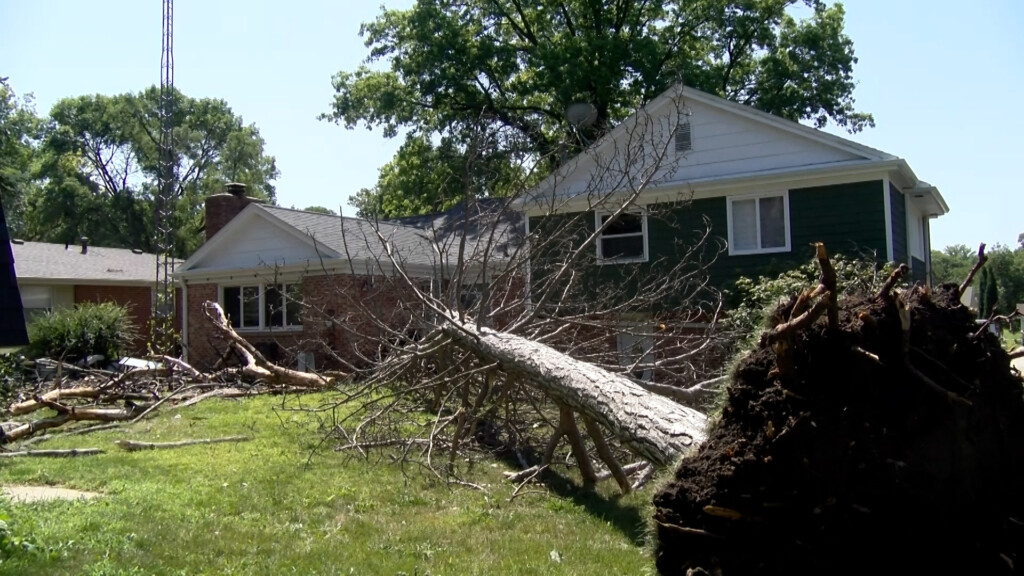 Storm Damage For Article