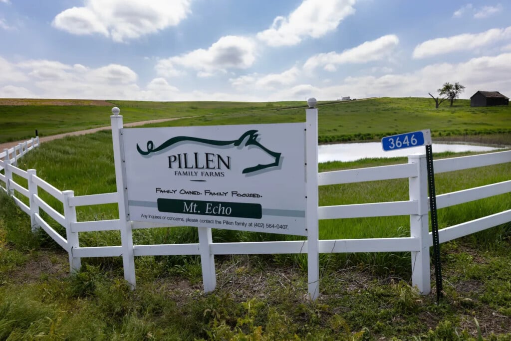 Pillen Photo 7 Ezgifcom Webp To Jpg Converter