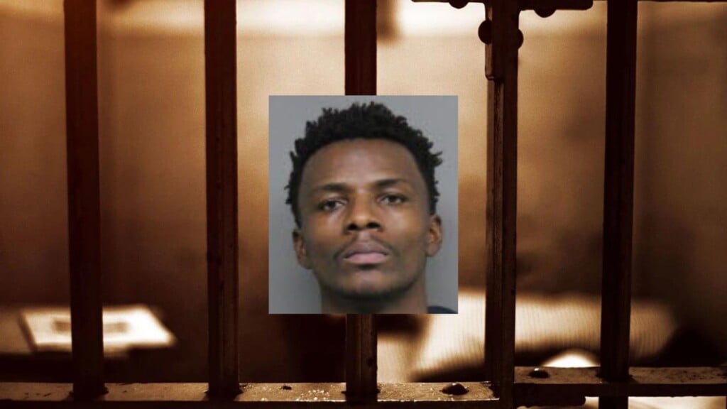 Daniel Doboyou