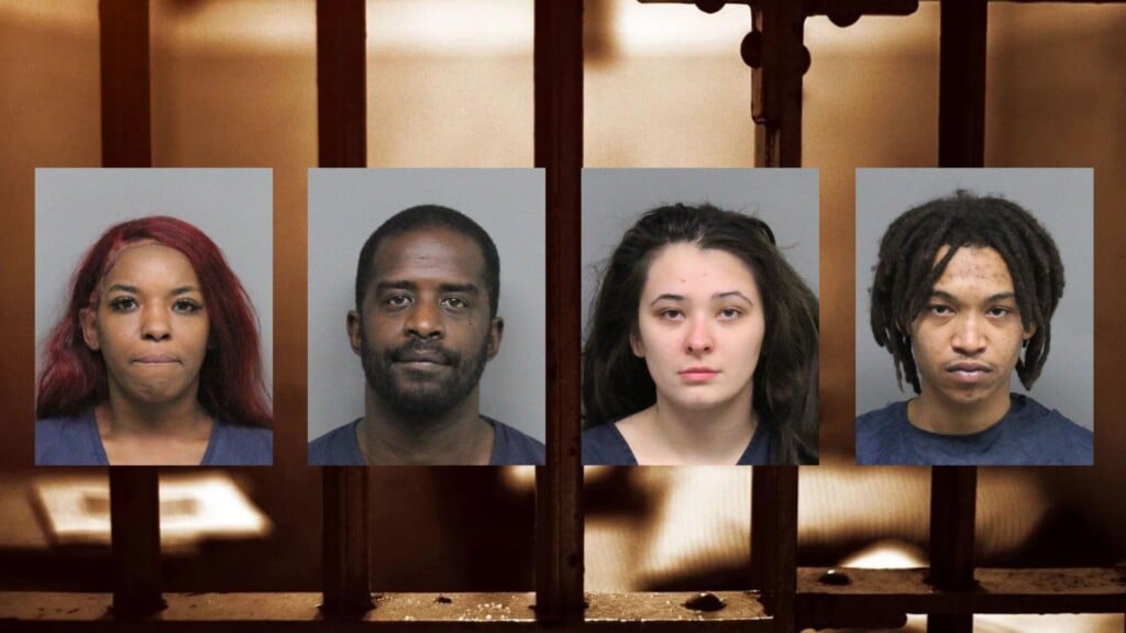 Mattie Boyd, Joseph Pate, Hayley Kabel and Trey Franko