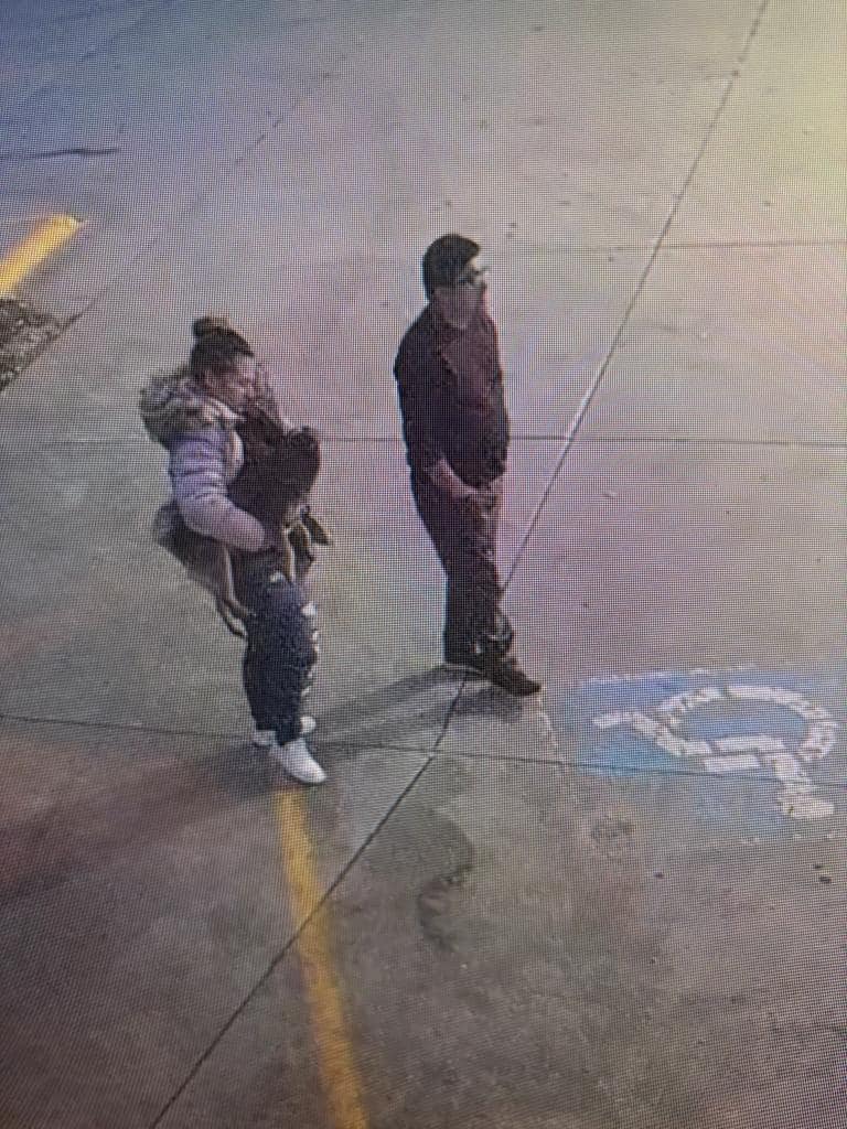 Surveillance photo from Rising City dognapping