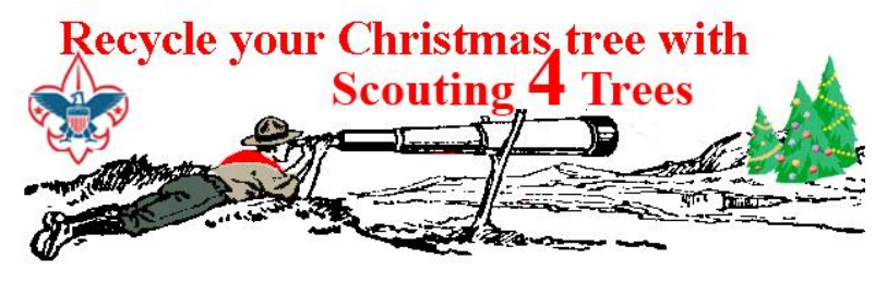 Scouting 4 Trees