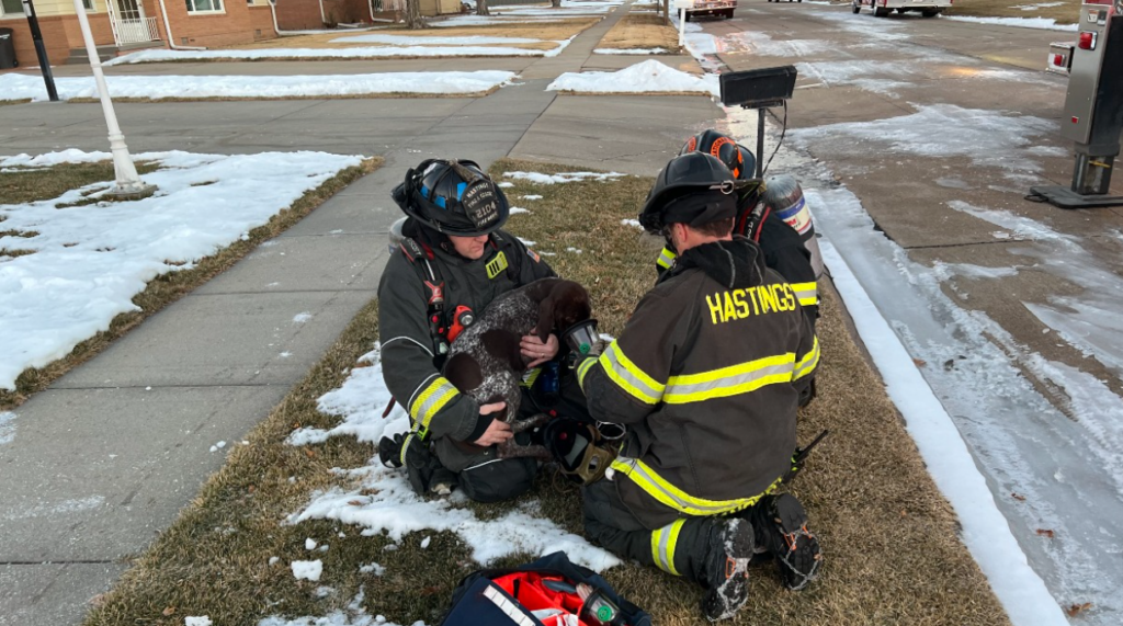 Dog Rescued In Hastings House Fire