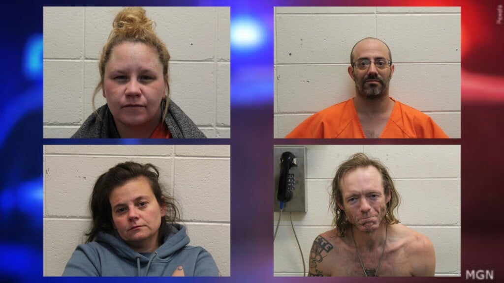York Drug And Child Abuse Arrests