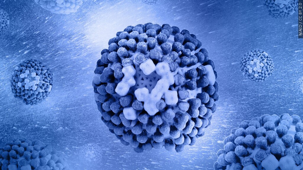 Flu virus