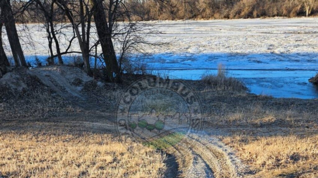 Untitled Design 2025 03 03t114842896