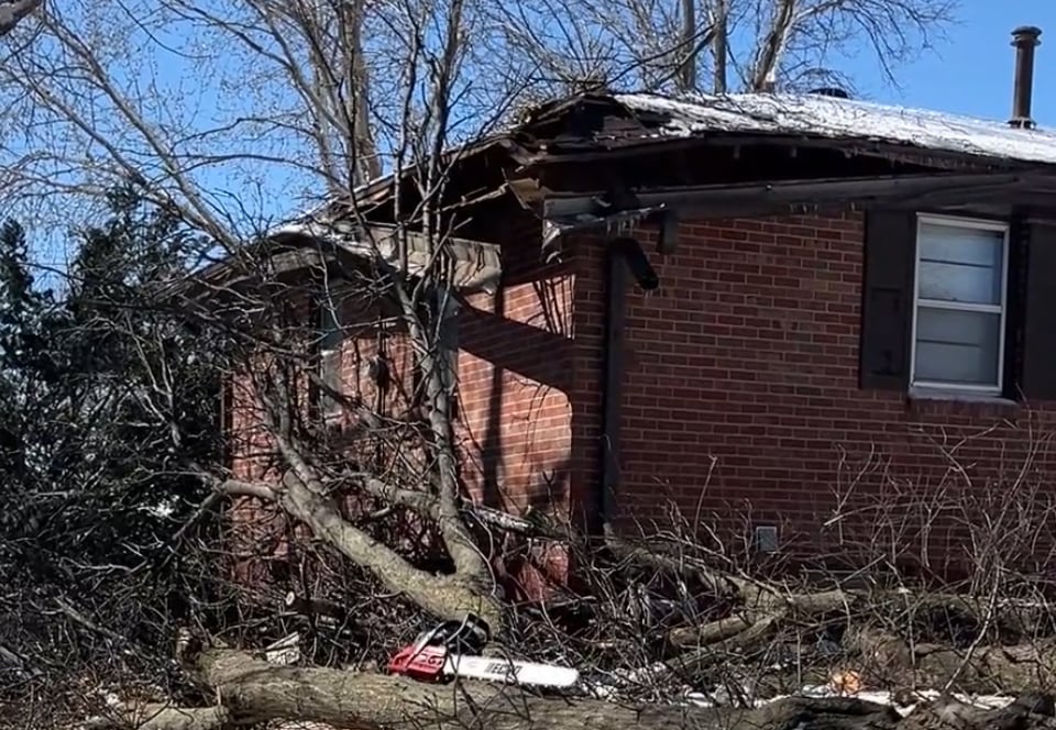 Tree damage at a home near 84th and O streets