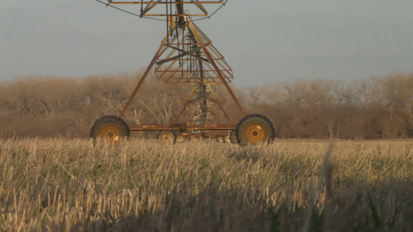 Irrigation System