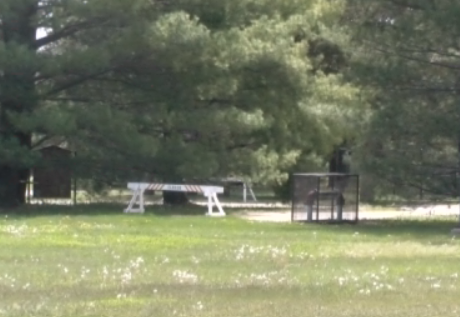 pioneer park