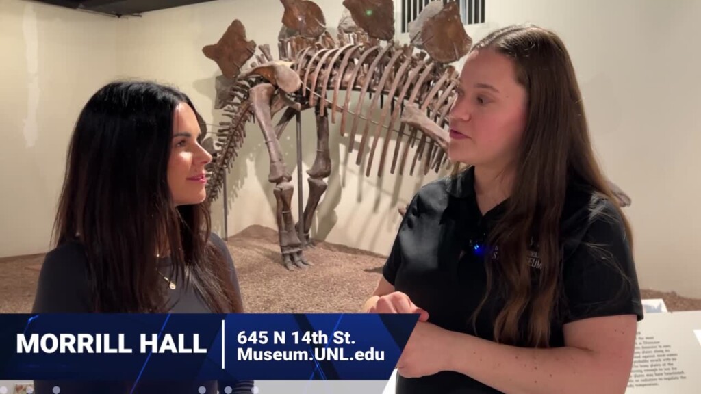 Morrill Hall