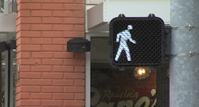 Pedestrian