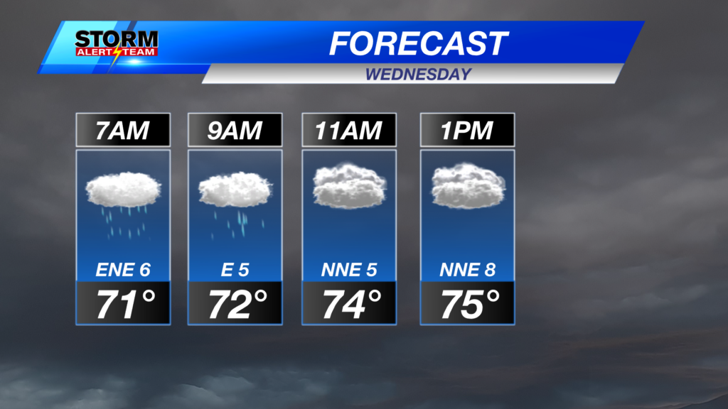 7a 9a 11a 1p Forecast
