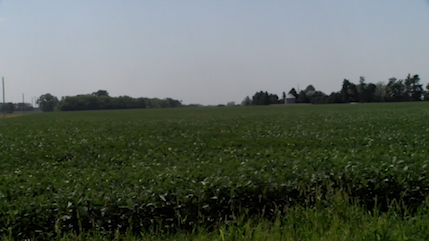 Seward County chicken farm CAFO