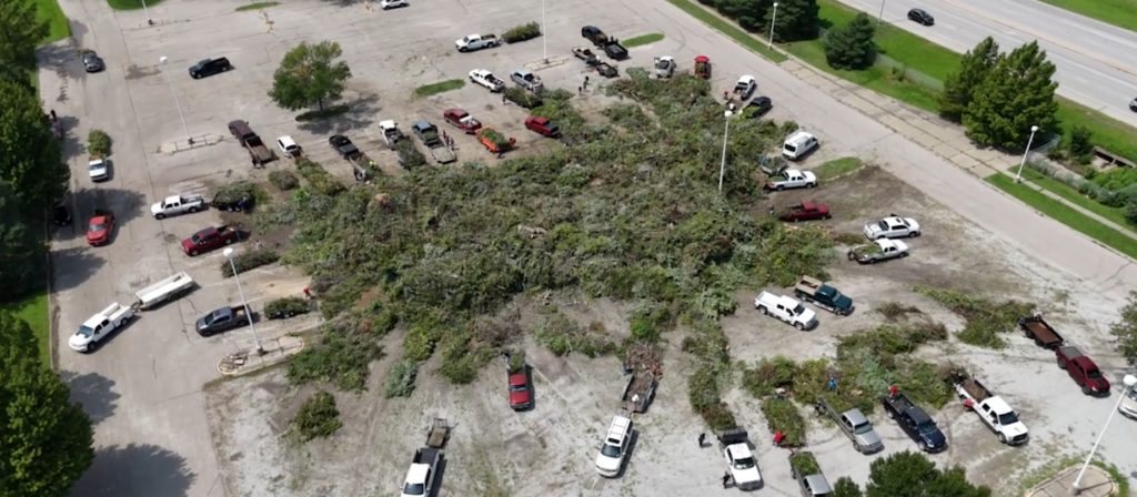 Debris Cleanup At Star City Shores