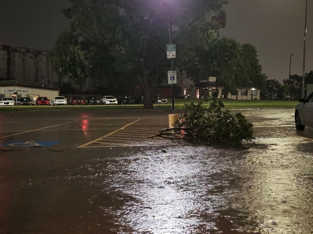 A small tree limb and pooling water in the Channel 8 parking lot.