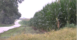Farms