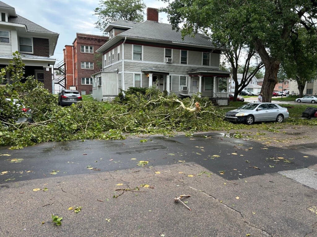 Almost Buried That Car2