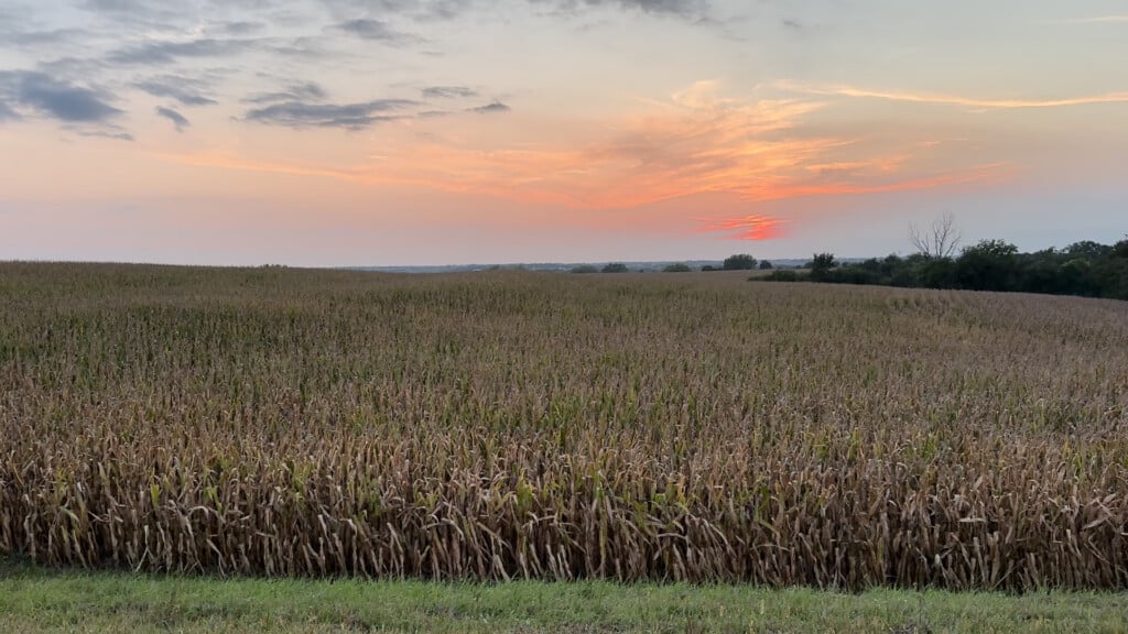 Farm Crops