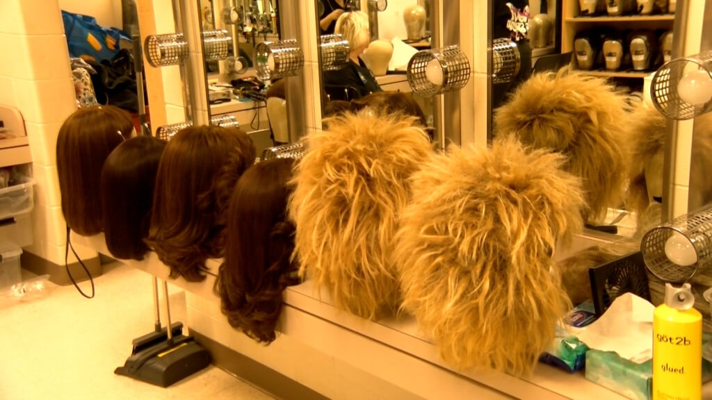 Tina Turner Wigs
