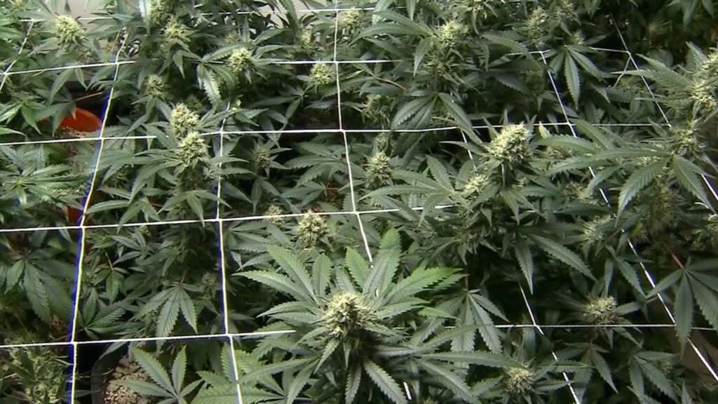 Img 444200 01 23 00still001